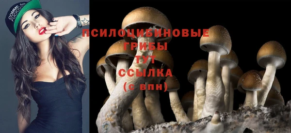 MDMA Краснослободск
