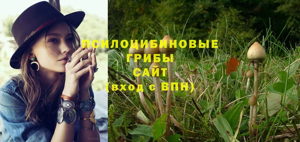 MDMA Краснослободск