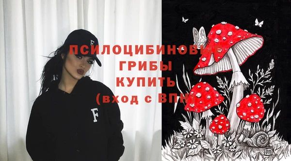 MDMA Краснослободск