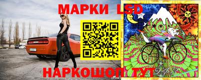 прущие грибы Красноармейск
